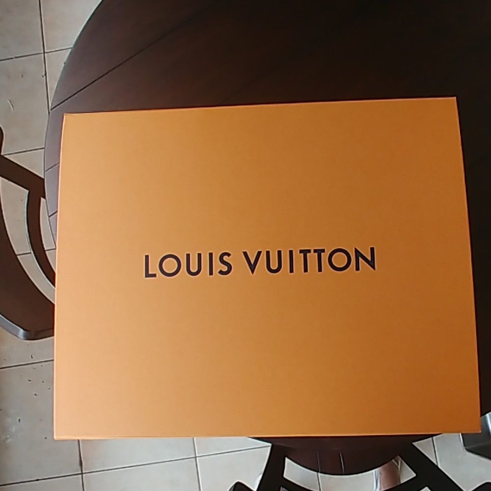 Louis Vuitton purse box